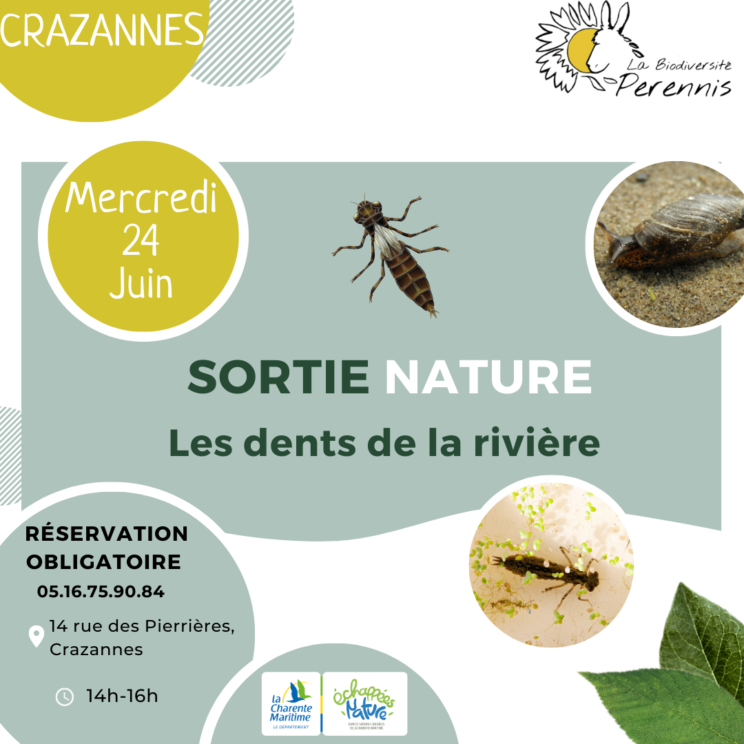 Les dents de la rivière