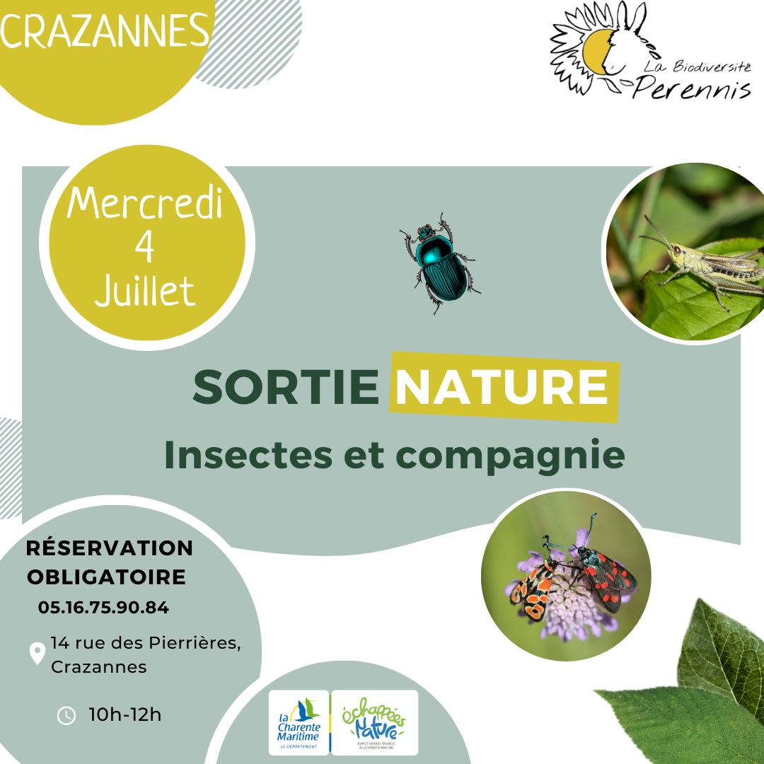 Insectes et companie