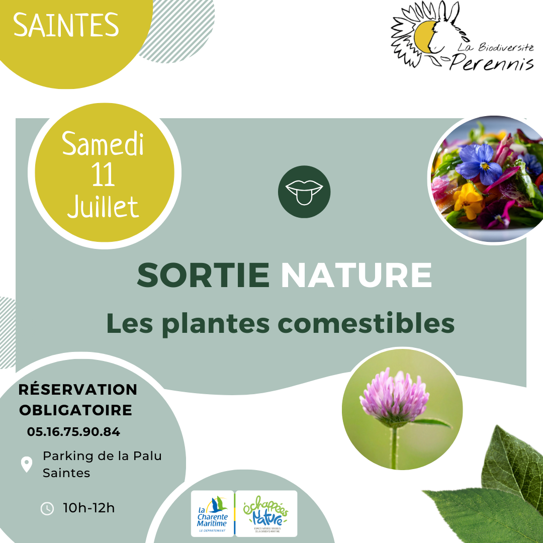 Les plantes comestibles