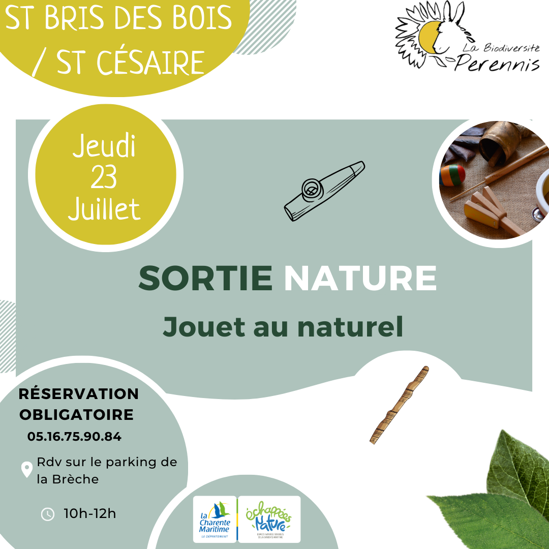 Jouet au naturel