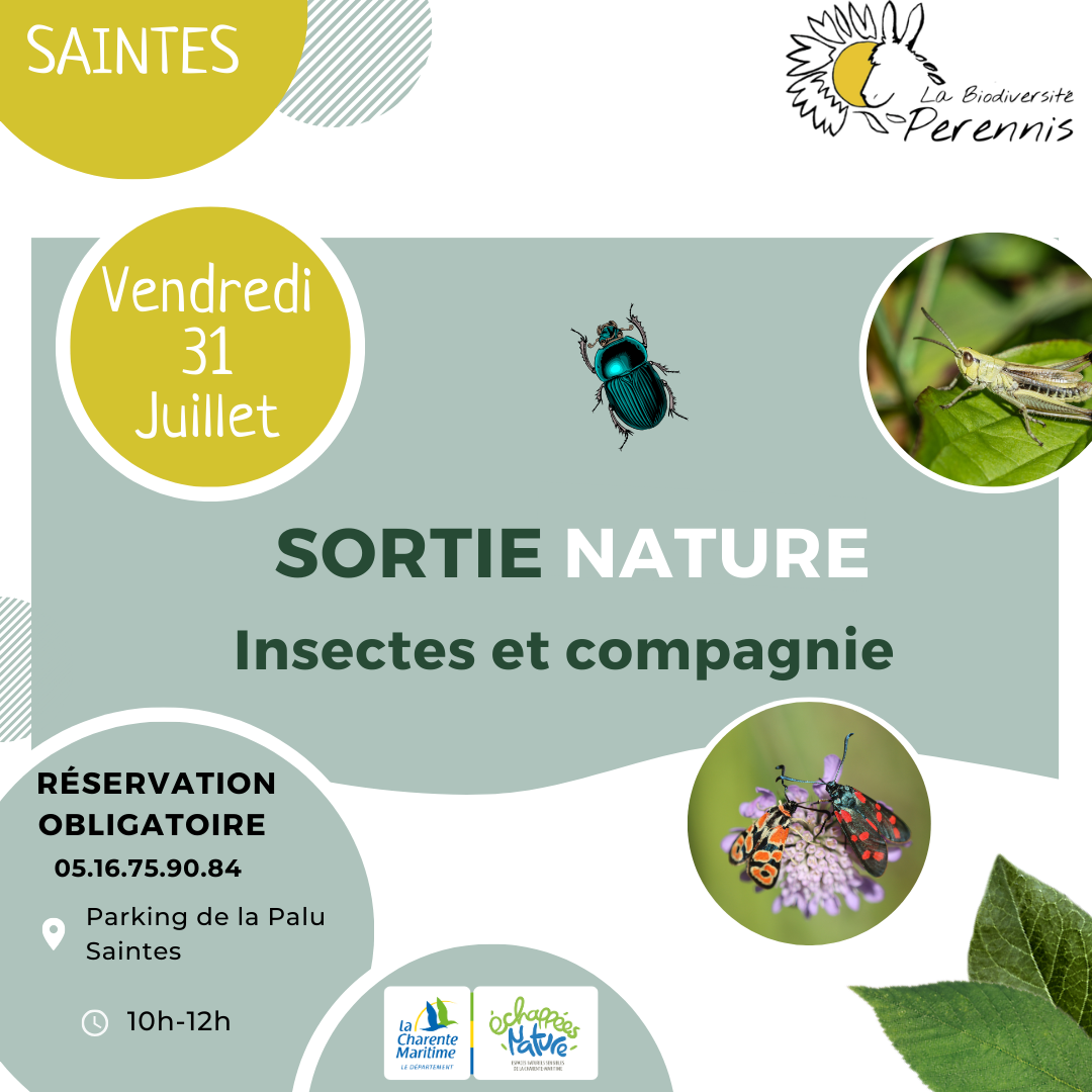 Insectes et compagnie