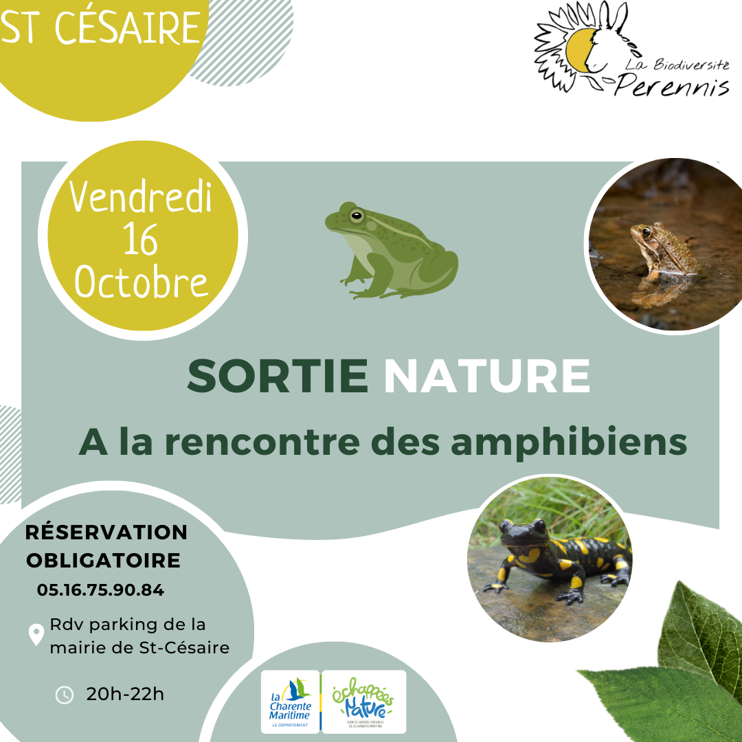 A la rencontre des amphibiens