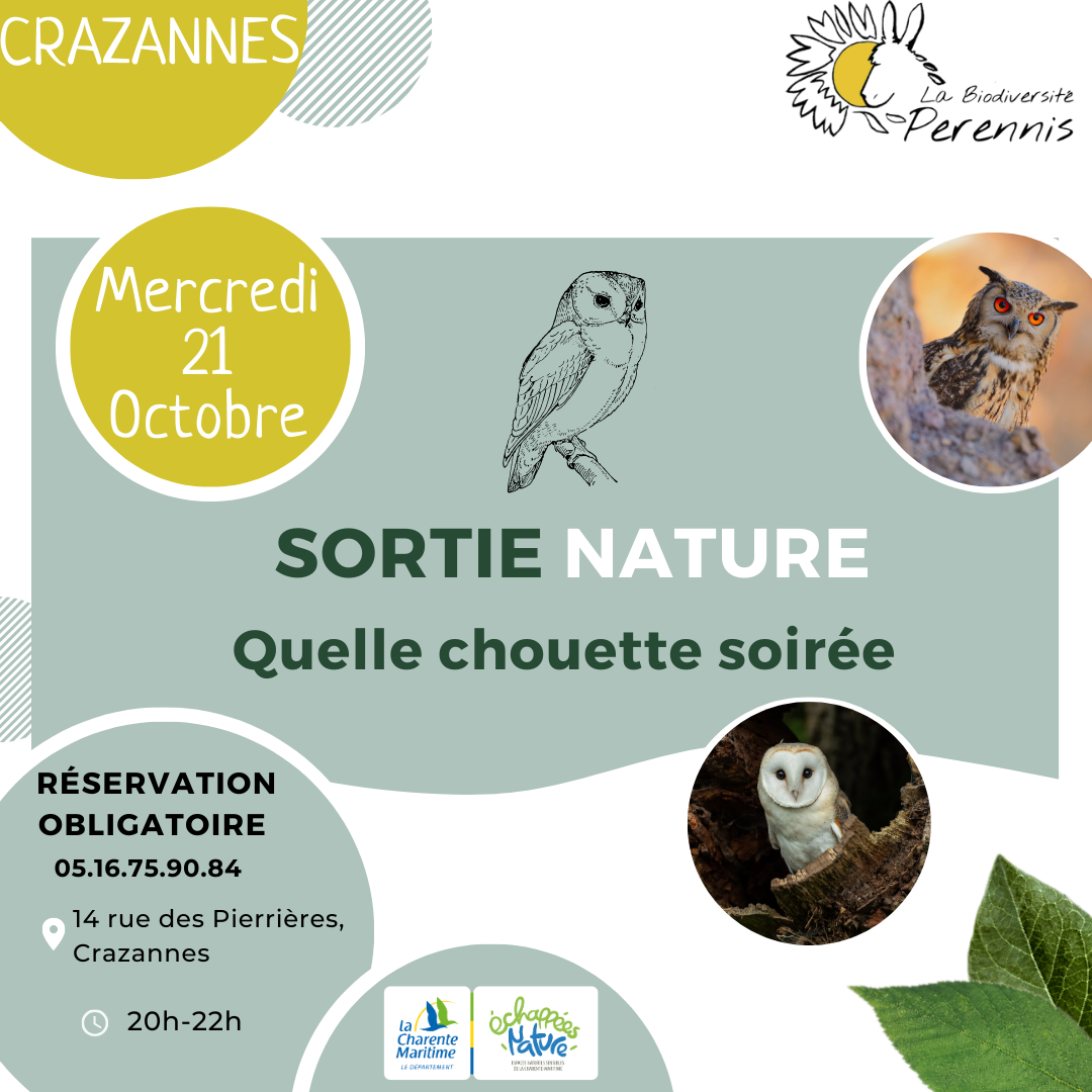 Quelle chouette soirée