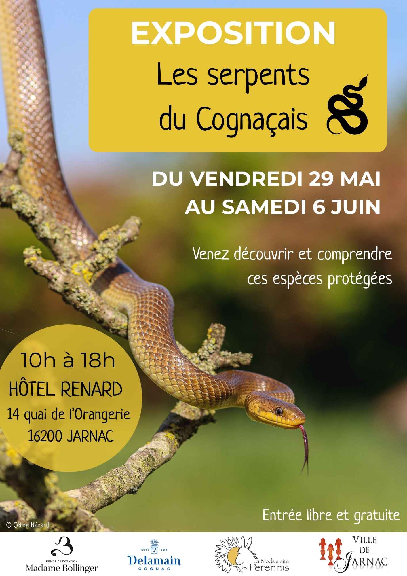 Exposition sur les serpents du Cognaçais